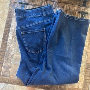 Lane Bryant jeans